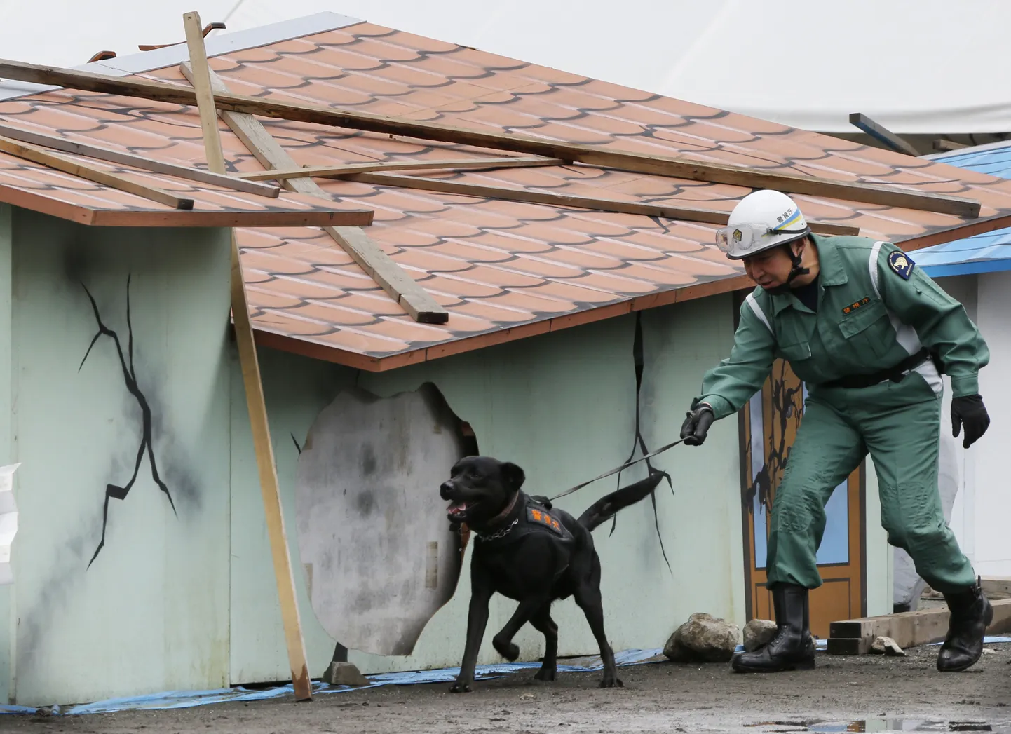 Jaapani päästja koos koeraga treeningul, kus õpiti tegutsemist maavärina järel.