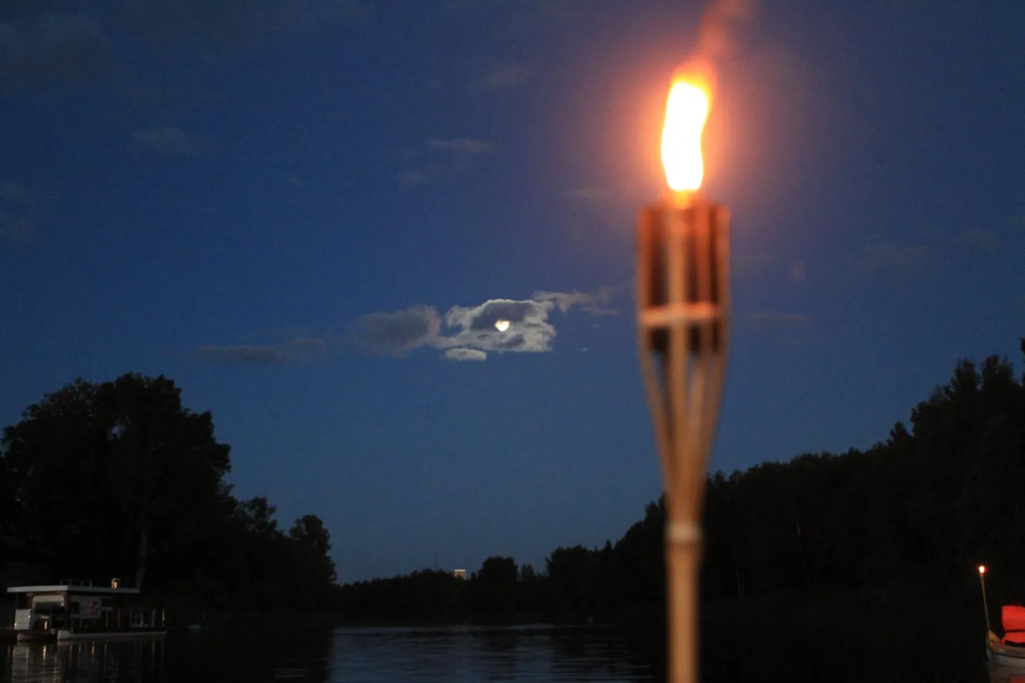Öine tõrvik.