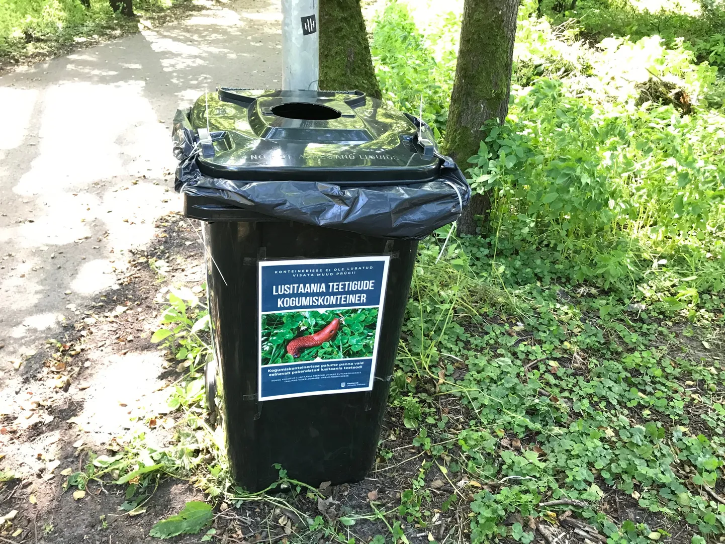 Контейнер для сбора испанских слизней.