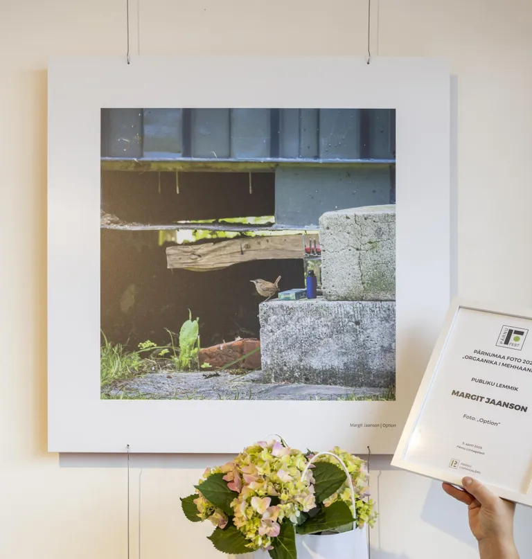 Publiku lemmikuks osutus Margit Jaanson fotoga “Option”.