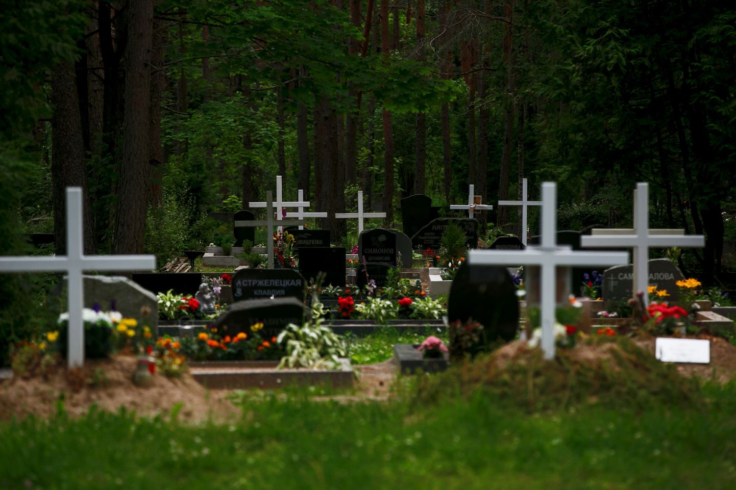 Kalmistu.