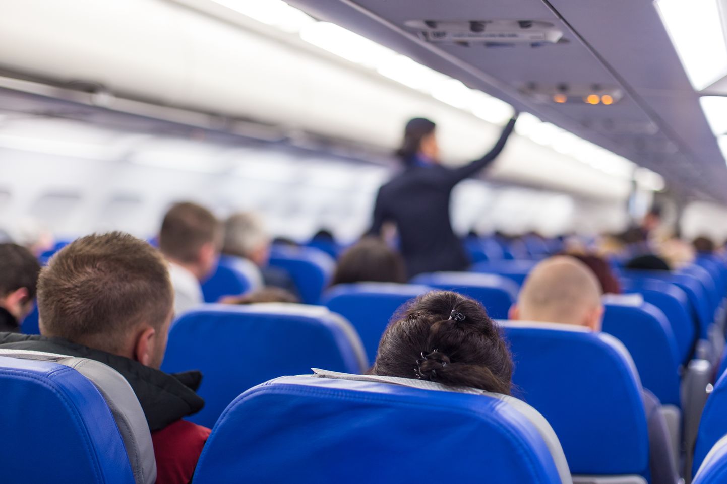 Сотрудники авиакомпаний жалуются, что пассажиры игнорируют их рекомендации.