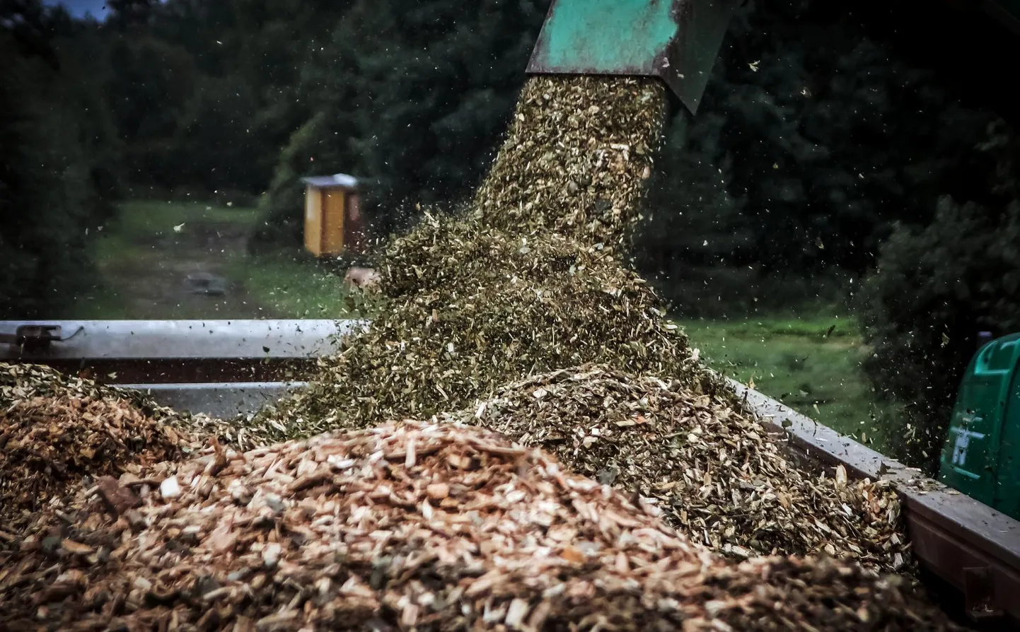 Hakkepuidu valmistamine. Foto on illustratiivne.