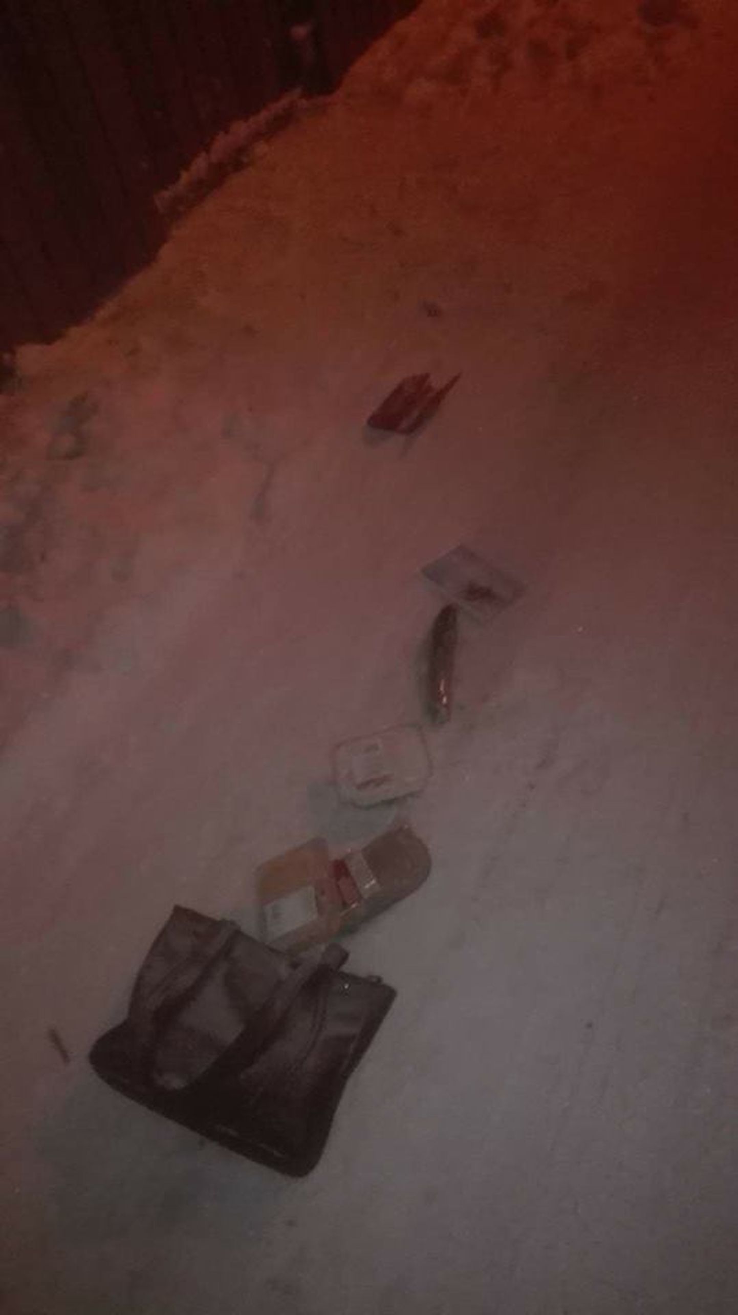 Tüdrukud leidsid naiselt varastatud koti Noortepargi lähedalt lumest.