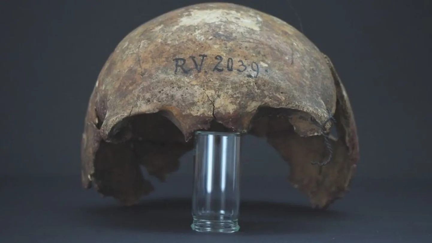 Скелет был найден в Латвии еще в XIX веке, но генетический анализ его провели только сейчас.